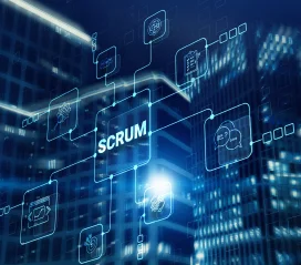 Process & Methodology Training